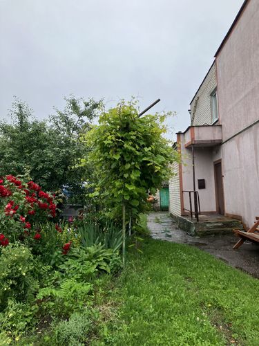 Фото 3: Квартира посуточно — 2-комнатная квартира на Парковой улице в Несвиже